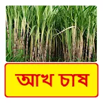 আখ চাষ ~ Sugarcane Cultivation | Indus Appstore | App Icon