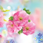 Spring Flower Live Wallpaper | Indus Appstore | App Icon