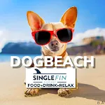 Single Fin Tuscany Dog Beach | Indus Appstore | App Icon