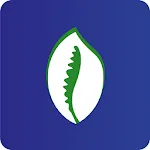 DANAYA PAY | Indus Appstore | App Icon