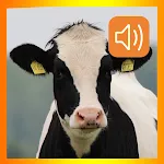 Cow Sounds App | Indus Appstore | App Icon