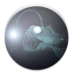 Fish FlashLight | Indus Appstore | App Icon