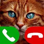 fake call cat game | Indus Appstore | App Icon