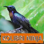 Master Kicau Kolibri Ninja | Indus Appstore | App Icon