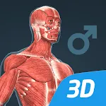 Human body (male) 3D scene | Indus Appstore | App Icon