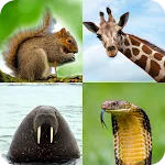 Animal Quiz: Guess the Animal | Indus Appstore | App Icon