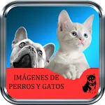 Imágenes de Perros y Gatos | Indus Appstore | App Icon