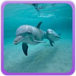 Underwater Wallpaper Gallery | Indus Appstore | App Icon