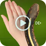 Insects Prank | Indus Appstore | App Icon