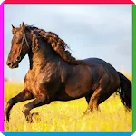 puzzle game horse | Indus Appstore | App Icon