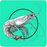 Shrimp Farming BD | Indus Appstore | App Icon