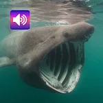 Scary: Sounds & Ringtones | Indus Appstore | App Icon