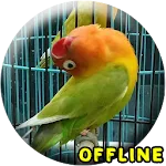 MP3 Lovebird Paud Offline | Indus Appstore | App Icon