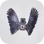 Birds Camera Frames | Indus Appstore | App Icon