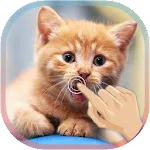 Magic Touch Cat Live WallPaper | Indus Appstore | App Icon