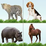 Animal Memory Matching Game | Indus Appstore | App Icon