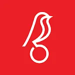 Bristol City FC | Indus Appstore | App Icon