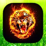 Tiger Wallpaper Live HD/3D/4K | Indus Appstore | App Icon