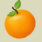 Cool Orange | Indus Appstore | App Icon