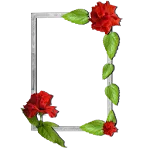 Floral photo Frames | Indus Appstore | App Icon