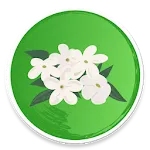 Udupi Mallige - Jasmine Flower | Indus Appstore | App Icon