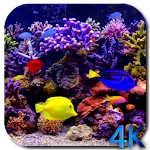 Aquarium 4K Video Wallpaper | Indus Appstore | App Icon