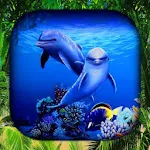 Dolphin Wallpaper Live HD/3D | Indus Appstore | App Icon