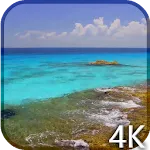 Ocean Waves Video Wallpaper | Indus Appstore | App Icon