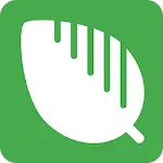 InstaLauncherapp icon