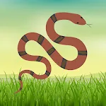 Indian Snakes | Indus Appstore | App Icon