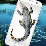 Crocodile in Phone Big Joke | Indus Appstore | App Icon