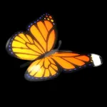 3d Butterfly Live Wallpaper | Indus Appstore | App Icon