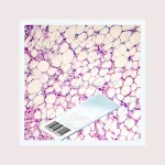 Histology | Indus Appstore | App Icon