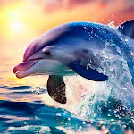 Dolphin Wallpapers | Indus Appstore | App Icon