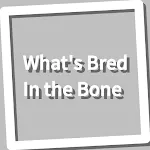 Book, What's Bred In the Bone | Indus Appstore | App Icon