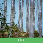 Bamboo Forest Wallpaper Lite | Indus Appstore | App Icon