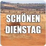 Schönen Dienstag Bilder | Indus Appstore | App Icon