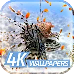 Fish Cool Wallpapers | Indus Appstore | App Icon