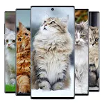 Cute Cat Wallpaper | Indus Appstore | App Icon