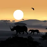 African Sunset Live Wallpaper | Indus Appstore | App Icon