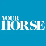 Your Horse Magazine | Indus Appstore | App Icon