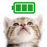 Cat Battery widget | Indus Appstore | App Icon