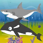 Killer Whale Shark Attack | Indus Appstore | App Icon