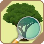 Identifier trees and plants | Indus Appstore | App Icon