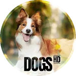 Dogs wallpapers for phone | Indus Appstore | App Icon