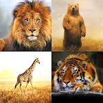 Zoo Live Wallpaper | Indus Appstore | App Icon