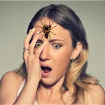 Spider Face Prank GUIDE | Indus Appstore | App Icon