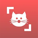 Cat Scanner: Breed Recognition | Indus Appstore | App Icon