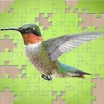 Animated Jigsaw puzzles game | Indus Appstore | App Icon