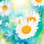 Daisies Live Wallpaper | Indus Appstore | App Icon